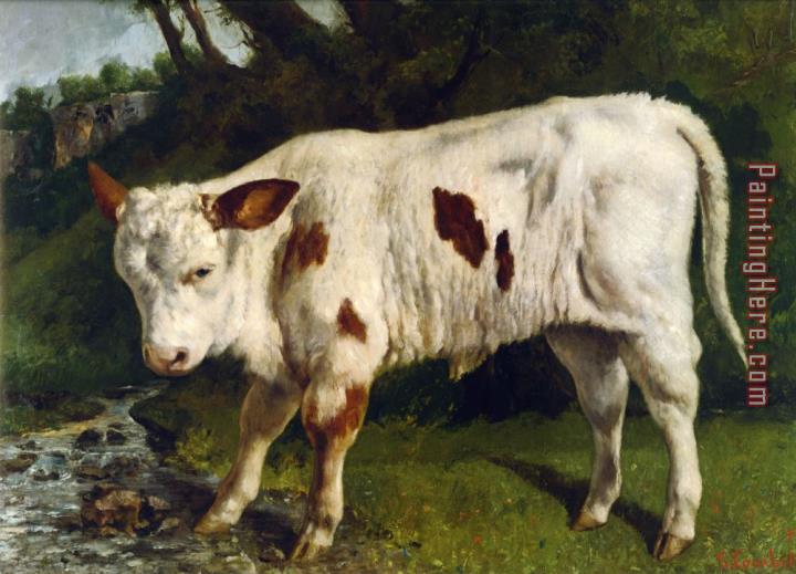 Gustave Courbet Le Veau Blanc